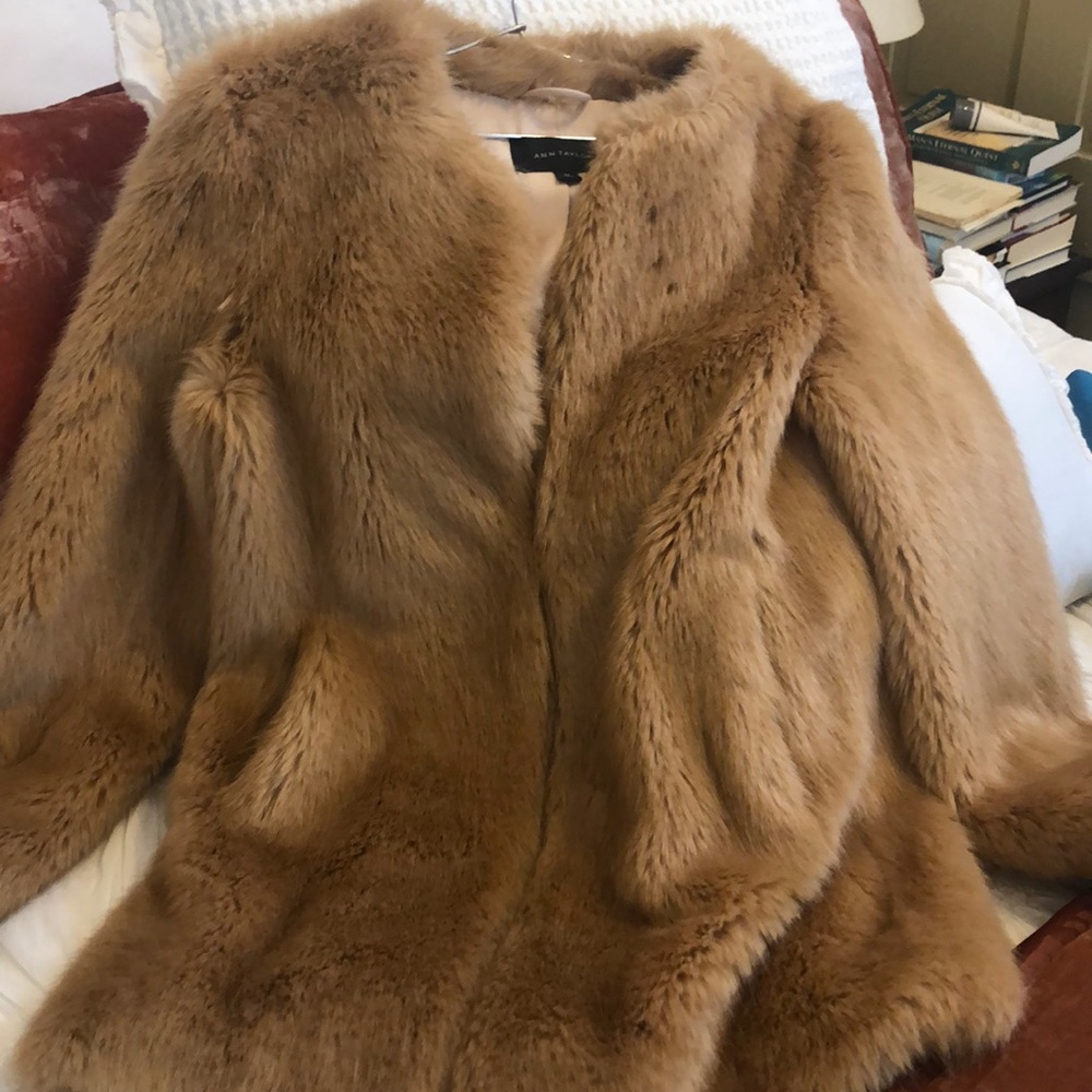 Coat - Picture 2 of 4